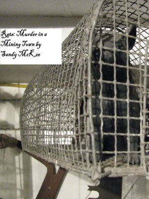 cover image of Rats